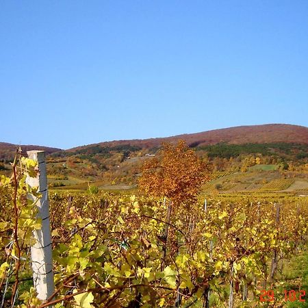 Winzerhotel Гумпольдскирхен Экстерьер фото